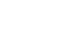LFS emblem